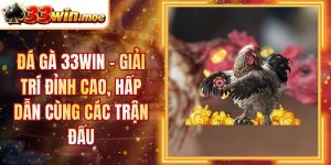 Đá Gà 33WIN - Giải Trí Đỉnh Cao, Hấp Dẫn Cùng Các Trận Đấu